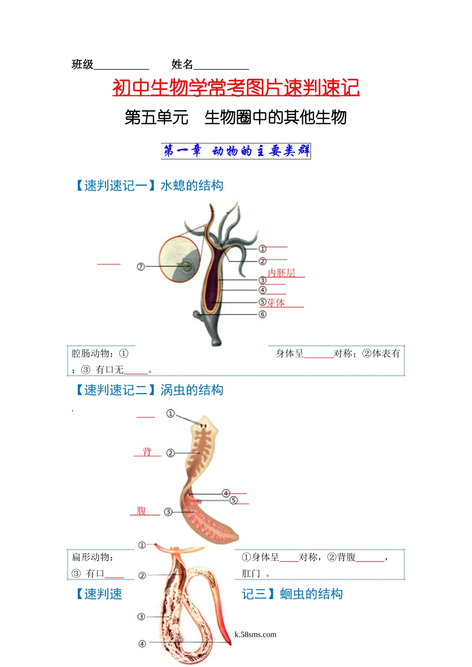 速判速记06  动物的主要类群+动物的运动和行为-【热图解读】中考生物常考图片速判速记（学生版）_八年级下册生物.docx_第1页