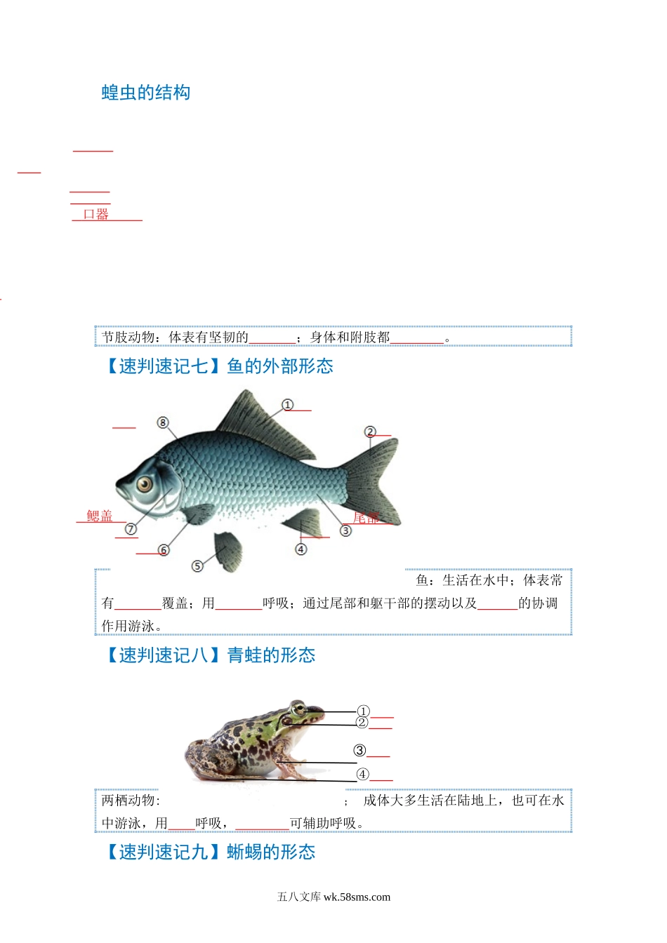 速判速记06  动物的主要类群+动物的运动和行为-【热图解读】中考生物常考图片速判速记（学生版）_八年级下册生物.docx_第3页