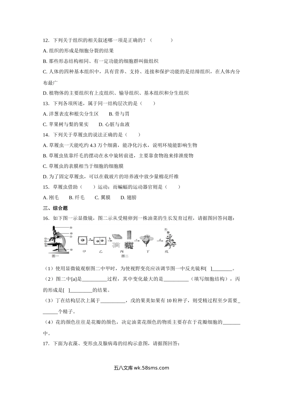 中考生物会考复习专项训练4：细胞怎样构成生物体（基础版，含详解）_八年级下册生物.docx_第3页