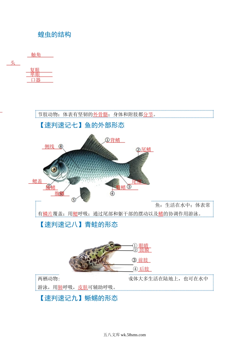 速判速记06  动物的主要类群+动物的运动和行为-【热图解读】中考生物常考图片速判速记（教师版）_八年级下册生物.docx_第3页