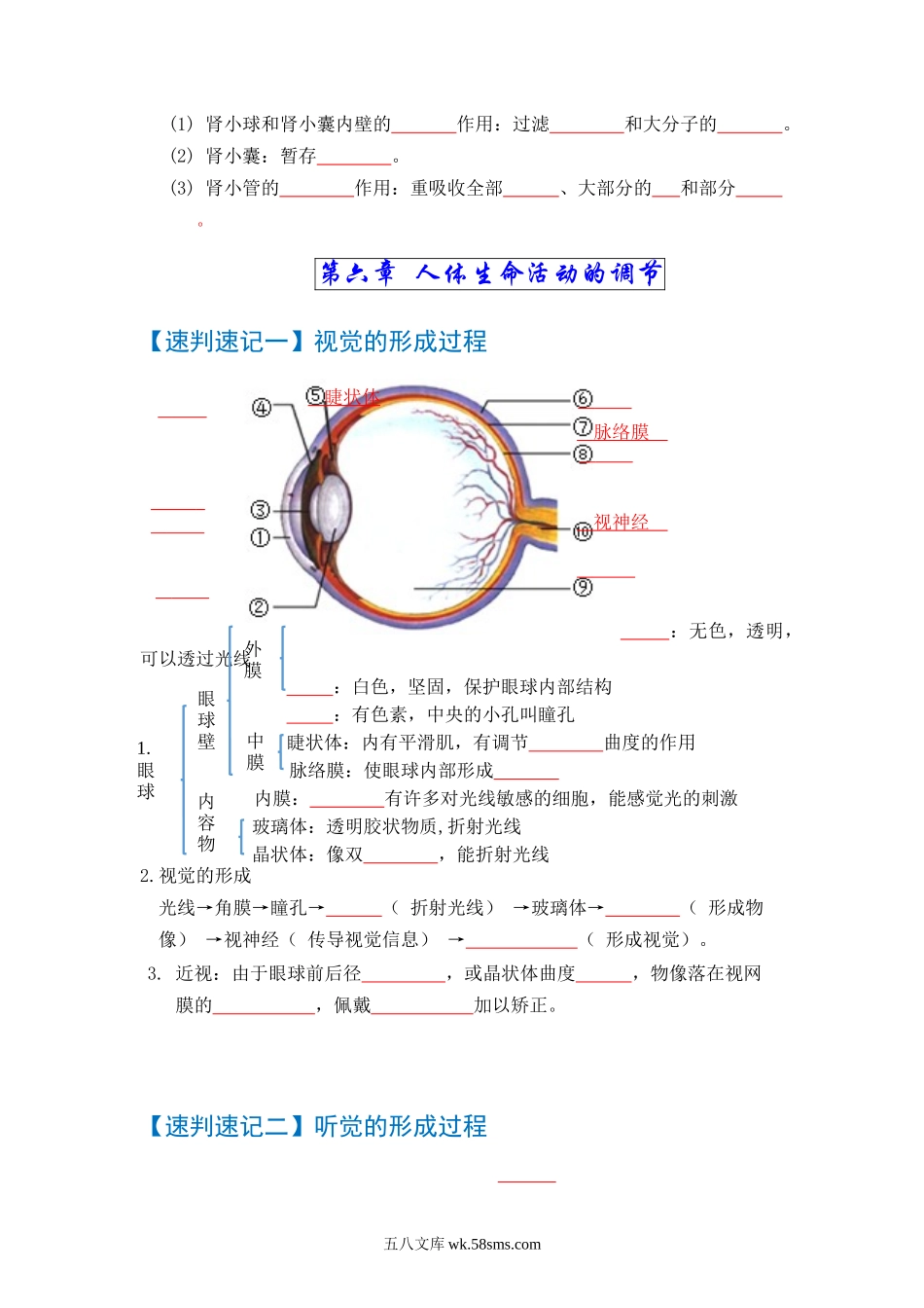 速判速记05  人体内废物的排出+人体生命活动的调节-【热图解读】中考生物常考图片速判速记（学生版）_八年级下册生物.docx_第2页