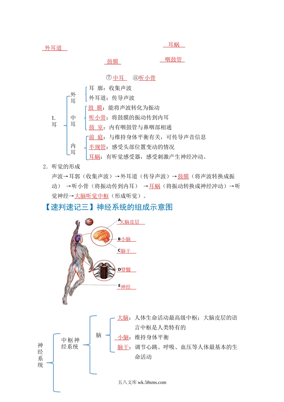 速判速记05  人体内废物的排出+人体生命活动的调节-【热图解读】中考生物常考图片速判速记（教师版）_八年级下册生物.docx_第3页