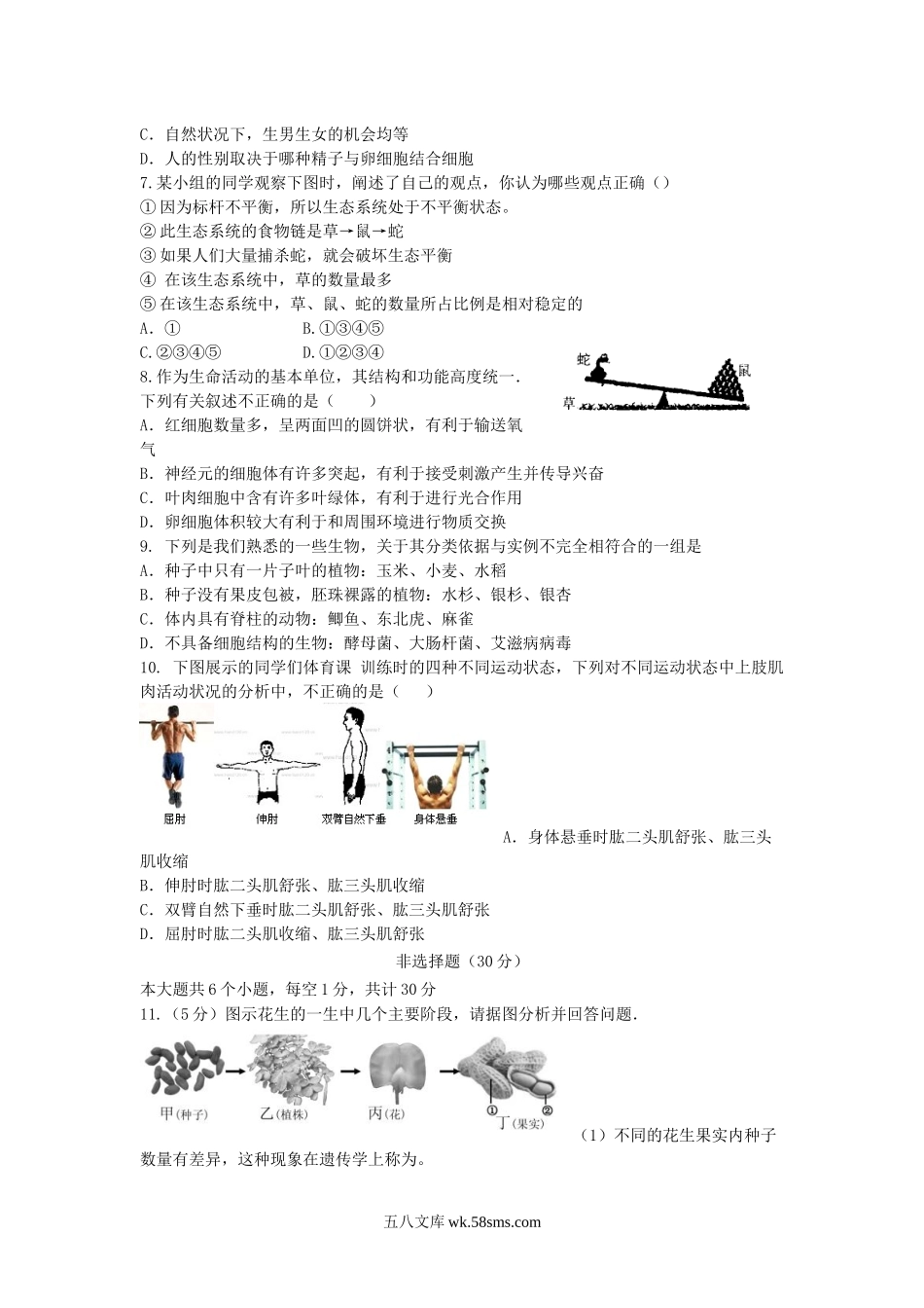 湖北省恩施市2019中考生物仿真模拟试题4_八年级下册生物.docx_第2页