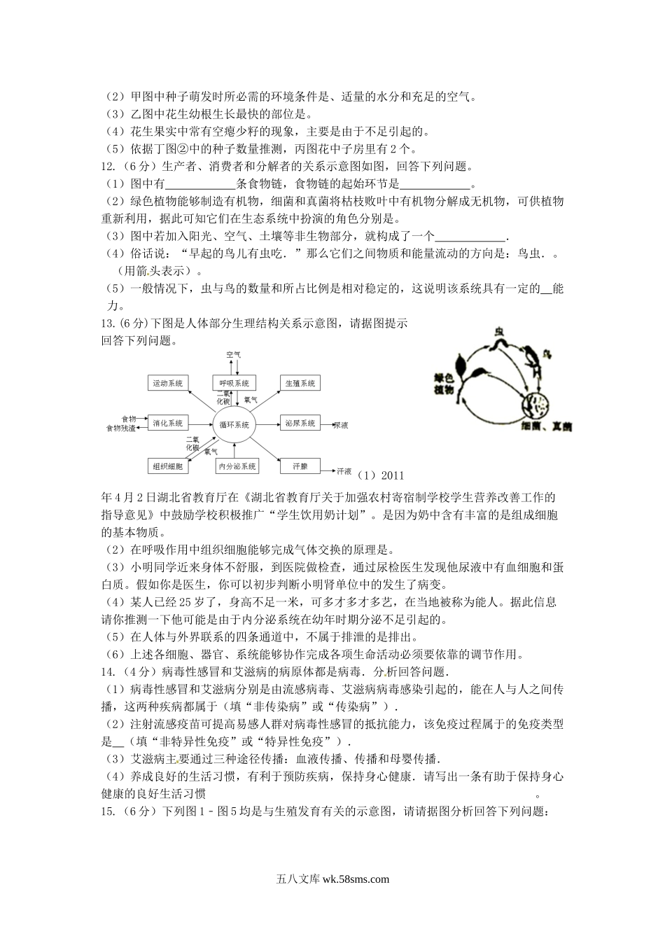 湖北省恩施市2019中考生物仿真模拟试题4_八年级下册生物.docx_第3页