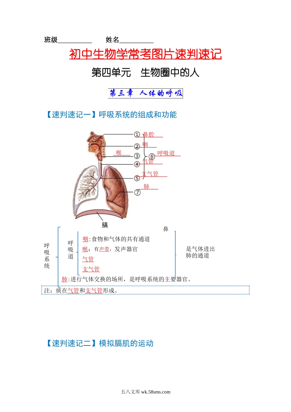 速判速记04  人体的呼吸+人体内物质的运输-【热图解读】中考生物常考图片速判速记（教师版）_八年级下册生物.docx_第1页