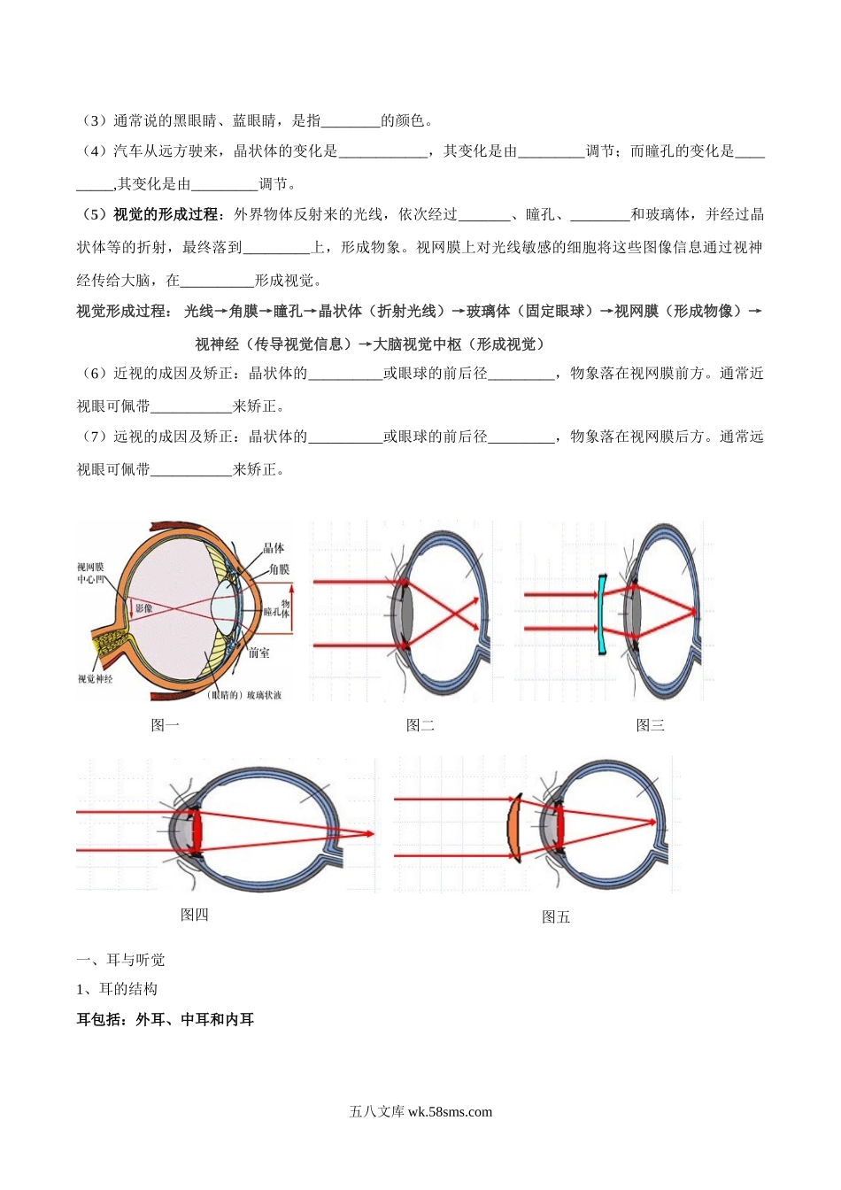 专题七 人体生命活动的调节-2023年中考生物核心考点必背合集_八年级下册生物.doc_第2页