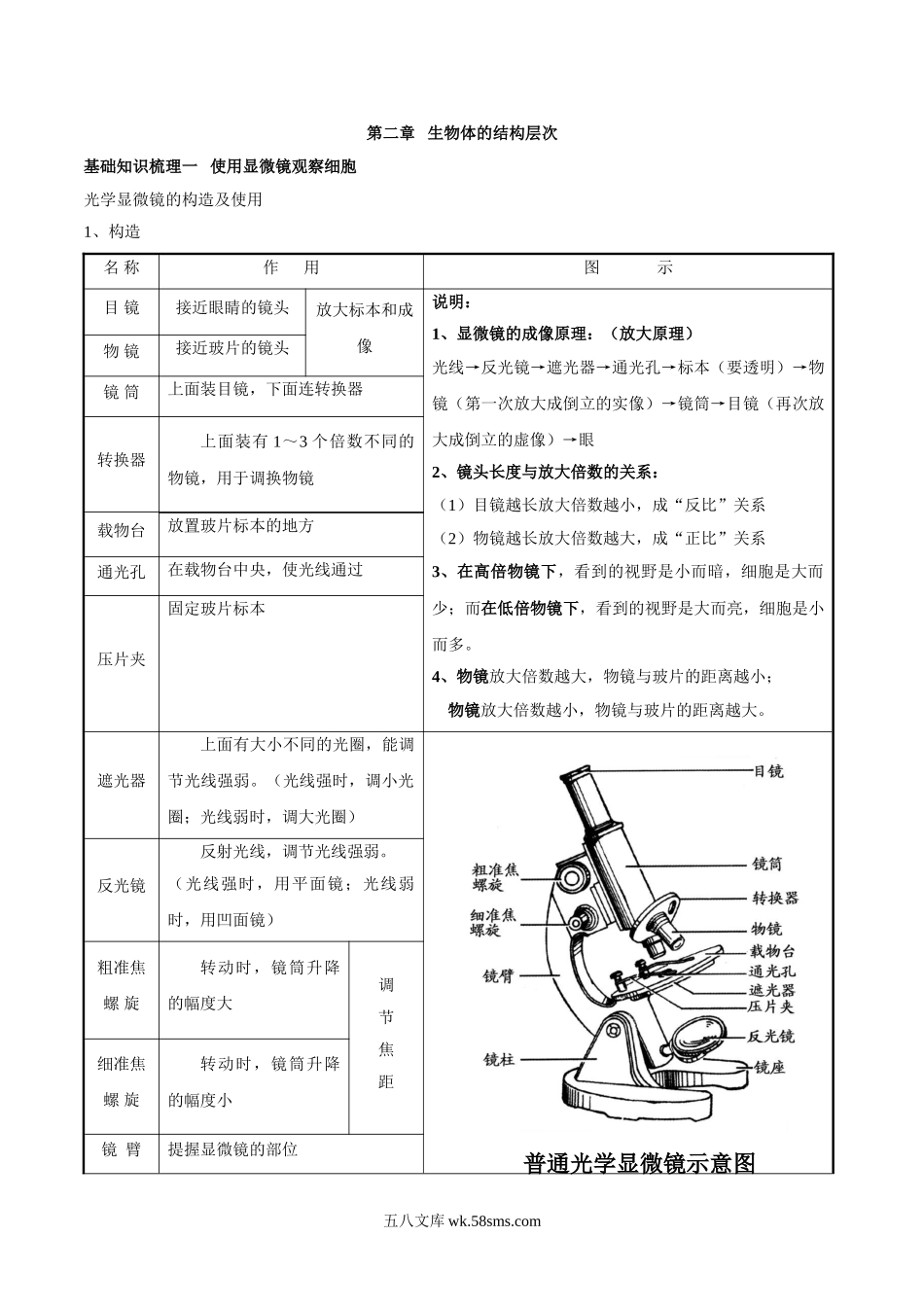 专题二 生物体的结构层次-2023年中考生物核心考点必背合集_八年级下册生物.doc_第1页