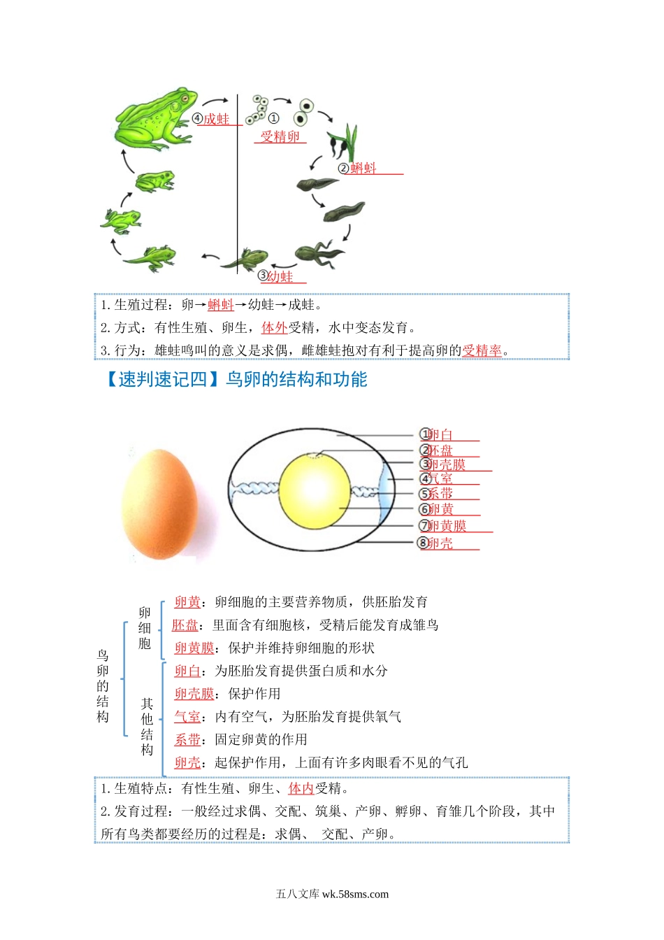 速判速记08  生物圈中生命的延续和发展+健康的生活-【热图解读】中考生物常考图片速判速记（教师版）_八年级下册生物 (1).docx_第2页