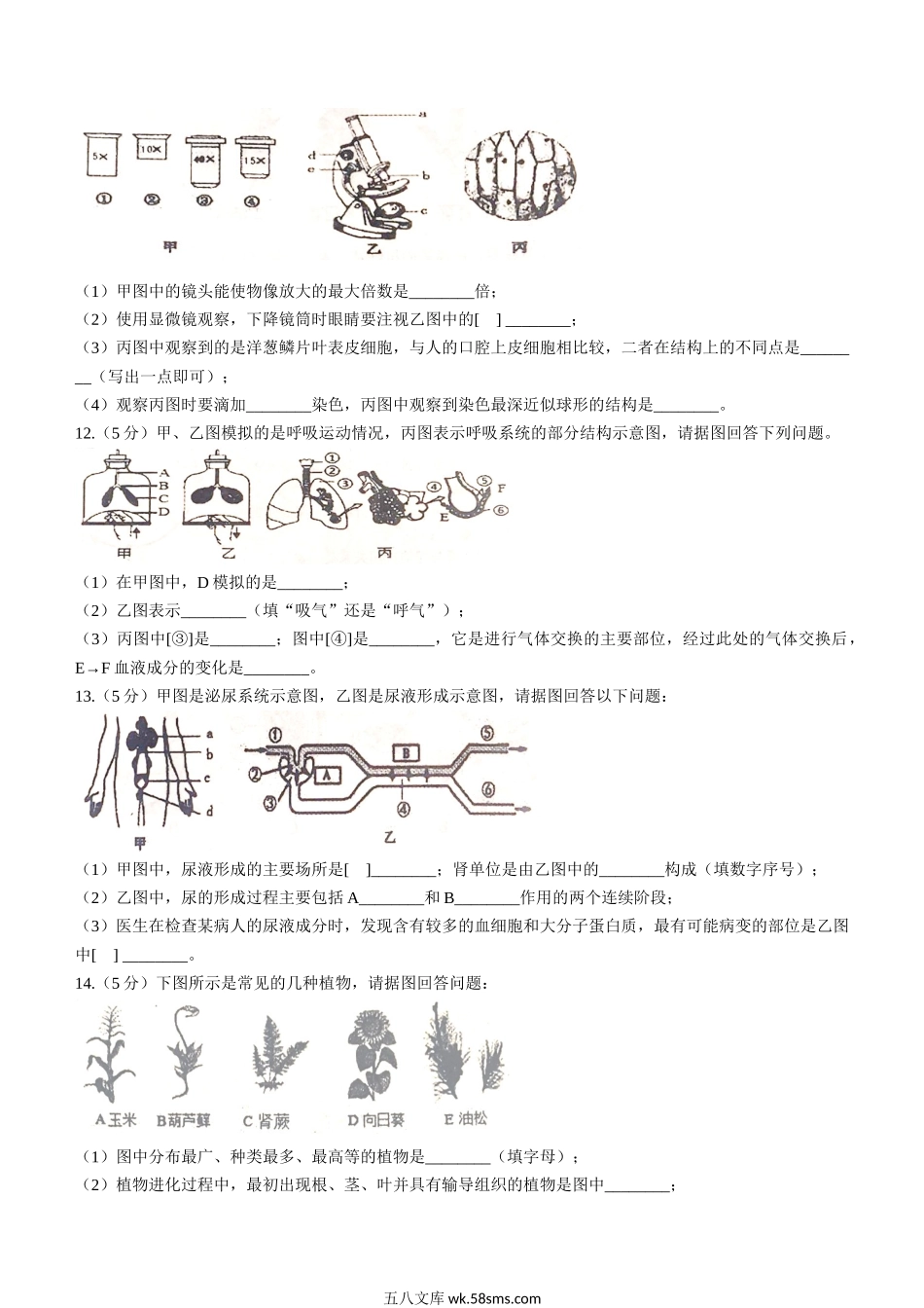 2022年辽宁省本溪市中考生物真题_八年级下册生物.docx_第2页