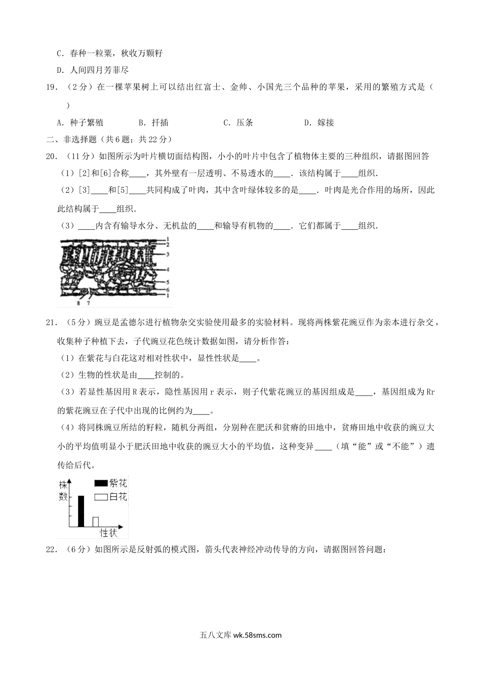 广西贵港市2019年中考生物二模试卷_八年级下册生物.doc_第3页