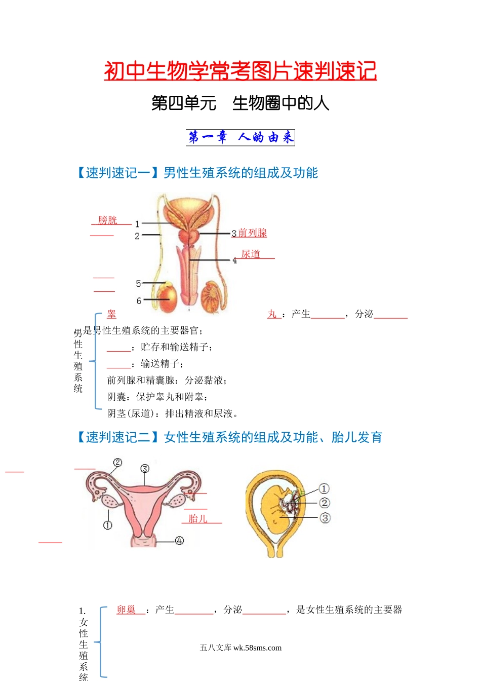 速判速记03   人的由来+人体的营养-【热图解读】中考生物常考图片速判速记（学生版）_八年级下册生物 (1).docx_第1页