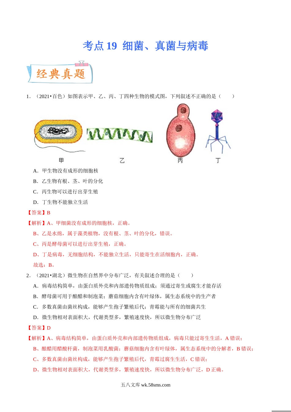 考点19 细菌、真菌与病毒-备战2022年中考生物一轮复习考点微专题(31664595)_八年级下册生物.doc_第1页