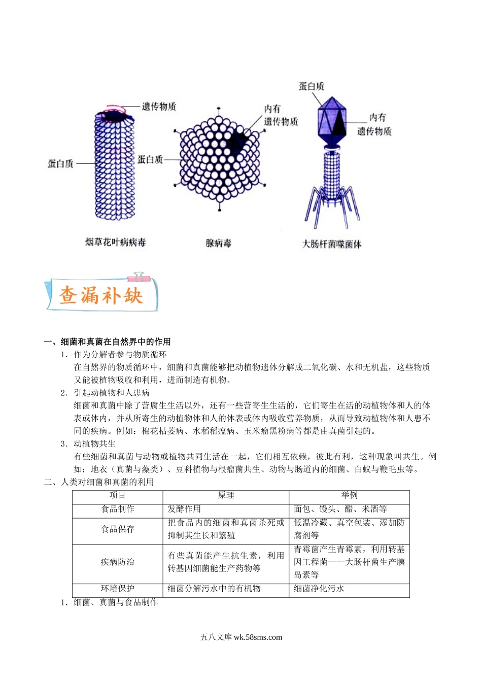 考点19 细菌、真菌与病毒-备战2022年中考生物一轮复习考点微专题(31664595)_八年级下册生物.doc_第3页