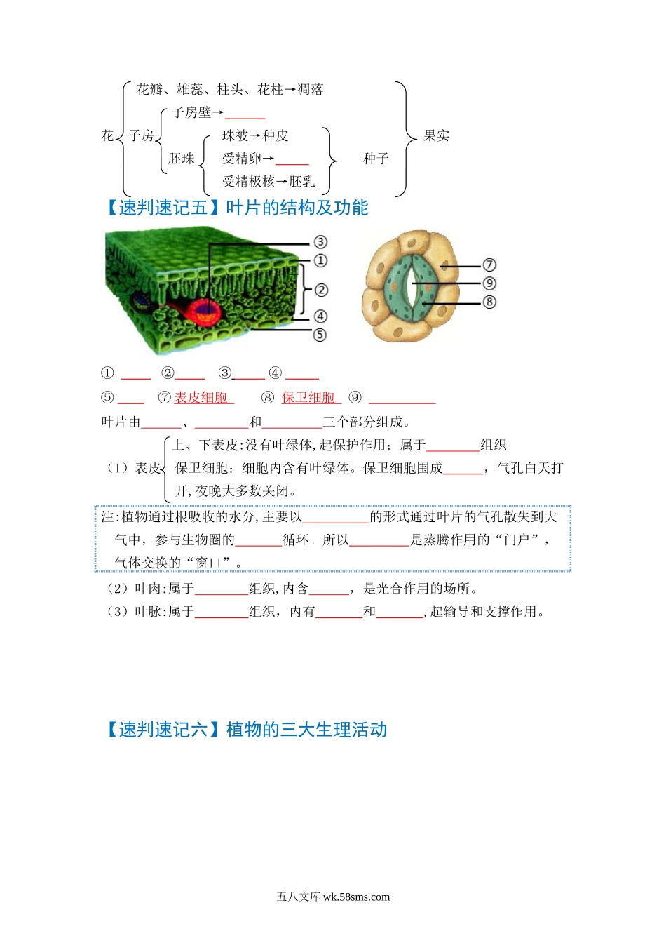 速判速记02   生物圈中的绿色植物-【热图解读】中考生物常考图片速判速记（学生版）_八年级下册生物 (1).docx_第3页