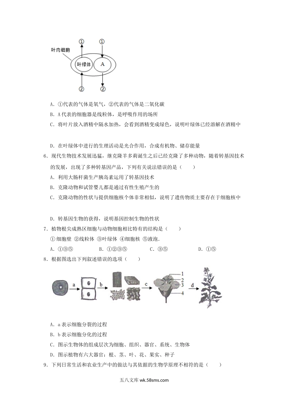 广东省揭阳市惠来县2019年中考生物模拟试卷（5月份）_八年级下册生物.doc_第2页