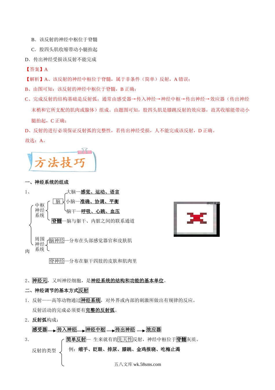 考点16 神经调节-备战2022年中考生物一轮复习考点微专题(31664564)_八年级下册生物.doc_第2页