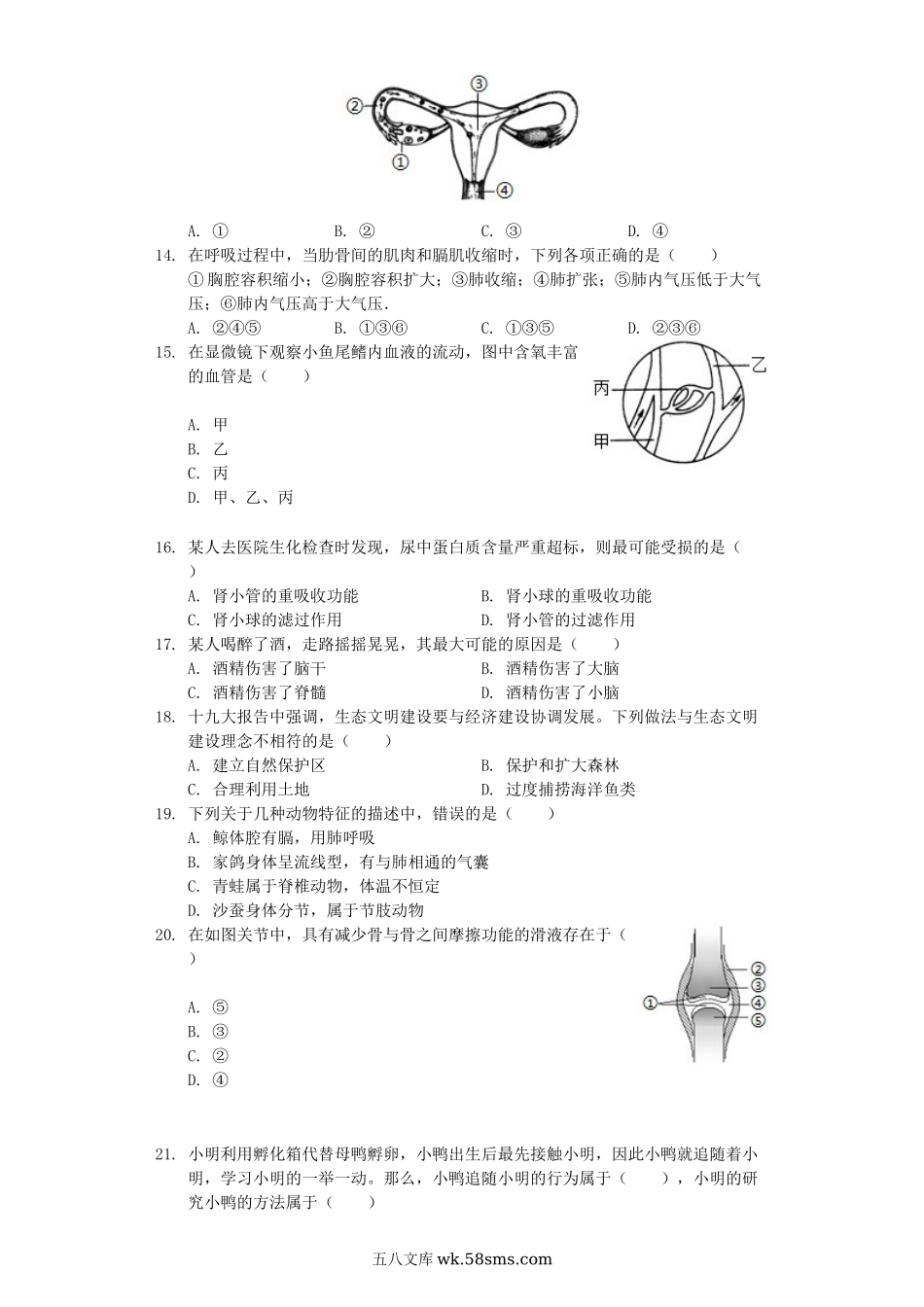 广东省2019年中考生物押题试卷（含解析）_八年级下册生物.docx_第3页