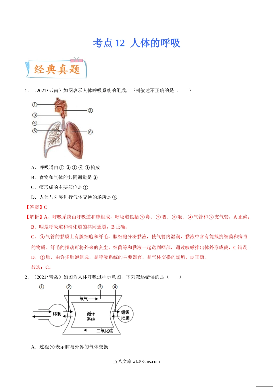 考点12 人体的呼吸-备战2022年中考生物一轮复习考点微专题(31264909)_八年级下册生物.doc_第1页