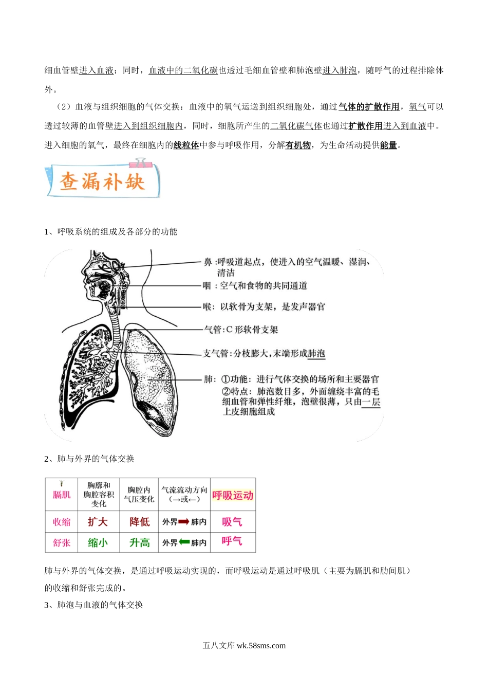 考点12 人体的呼吸-备战2022年中考生物一轮复习考点微专题(31264909)_八年级下册生物.doc_第3页