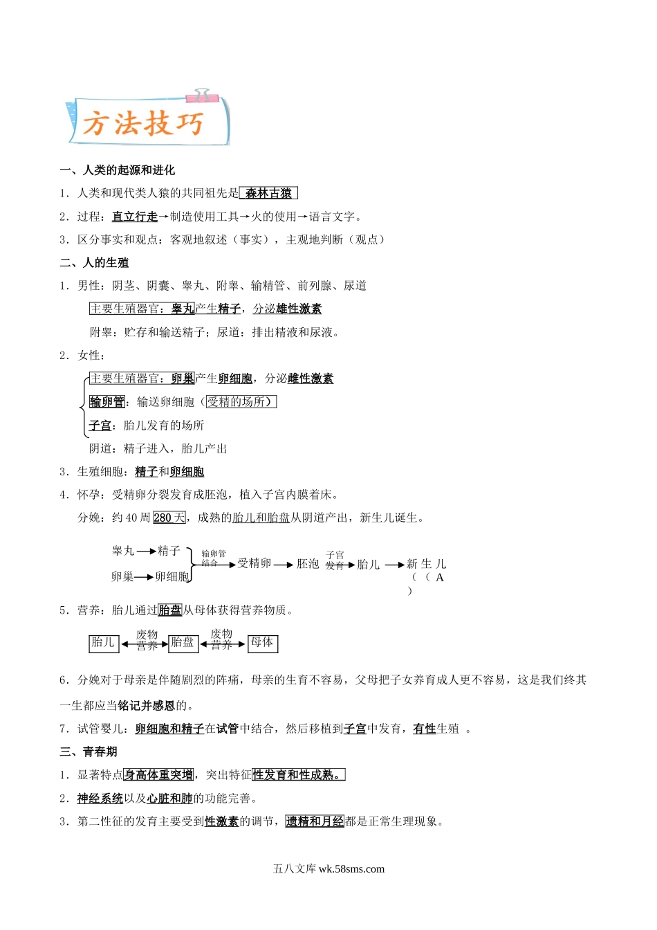 考点10 人的由来-备战2022年中考生物一轮复习考点微专题(31157775)_八年级下册生物.doc_第2页