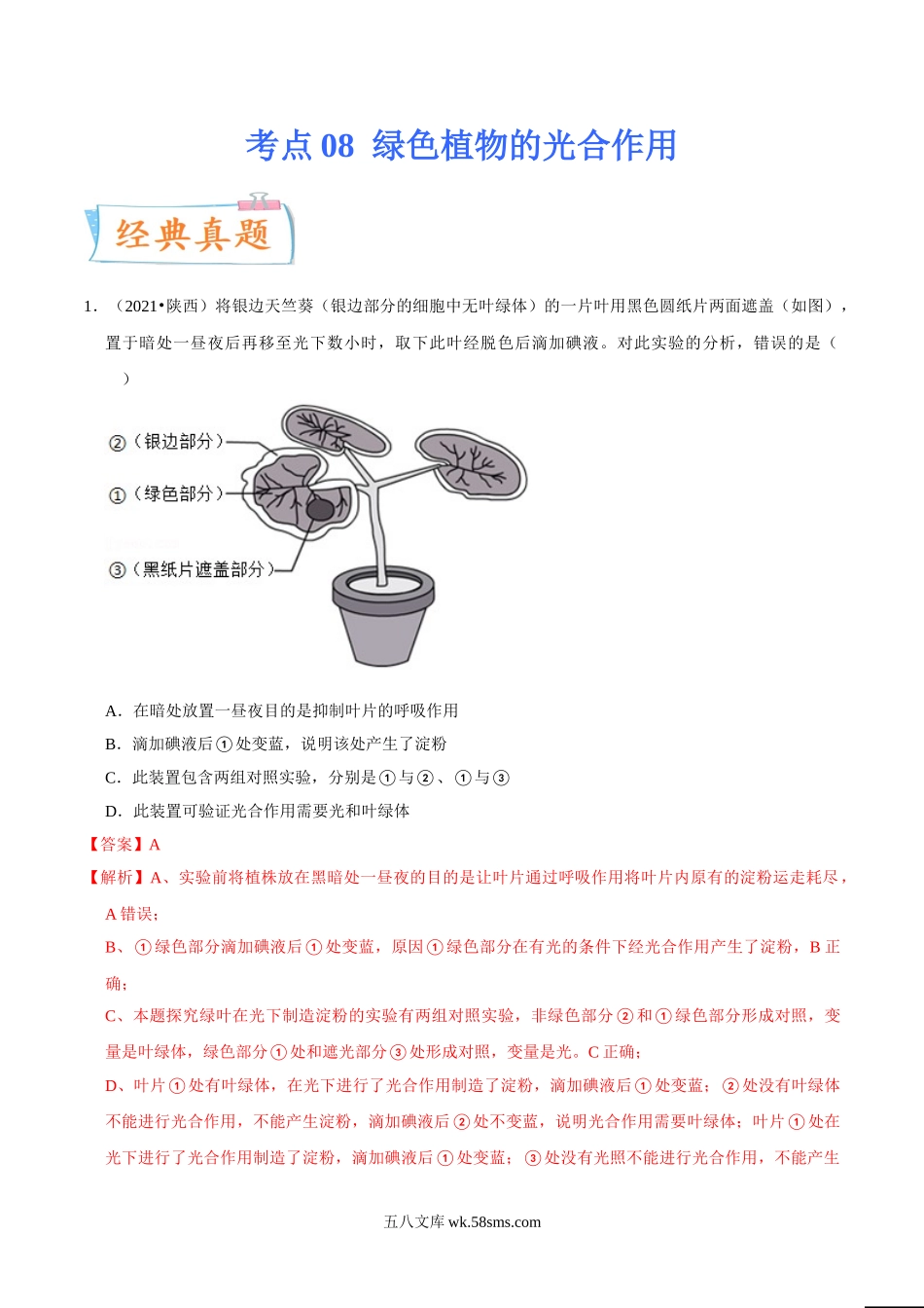 考点08 绿色植物的光合作用-备战2022年中考生物一轮复习考点微专题(31157754)_八年级下册生物.doc_第1页