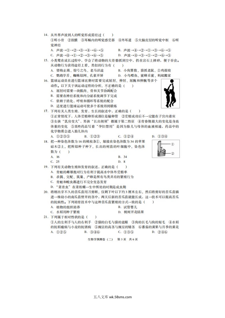 广东省2019年初中生物毕业生学业考试预测卷（二）（扫描版）_八年级下册生物.doc_第3页