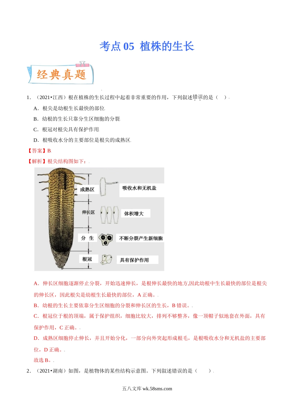 考点05 植株的生长-备战2022年中考生物一轮复习考点微专题(30738744)_八年级下册生物.doc_第1页