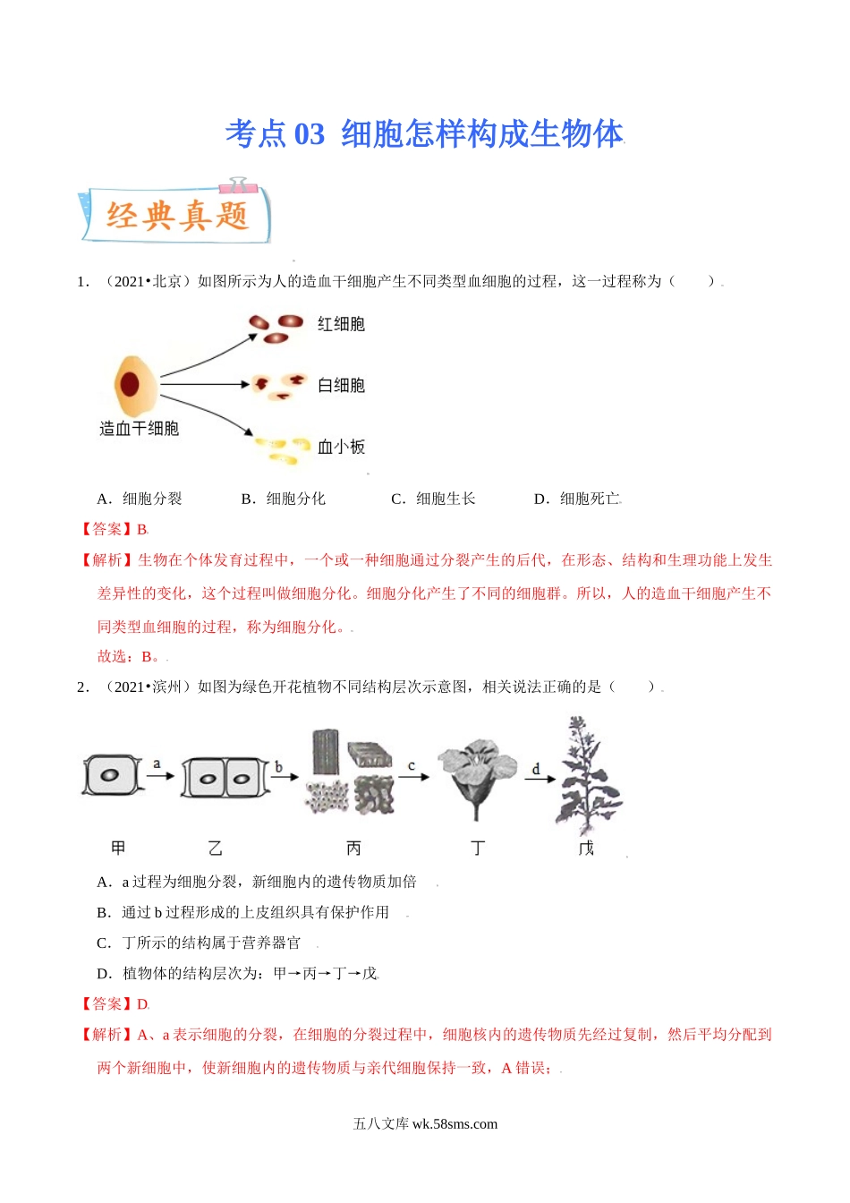 考点03 细胞怎样构成生物体-备战2022年中考生物一轮复习考点微专题(30738733)_八年级下册生物.doc_第1页