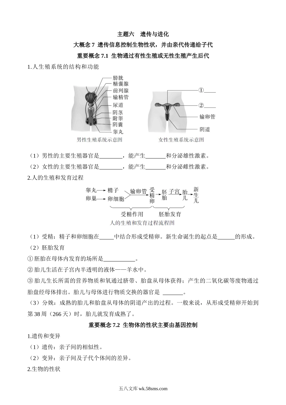 主题06 遗传与进化（重要概念）_八年级下册生物.docx_第1页