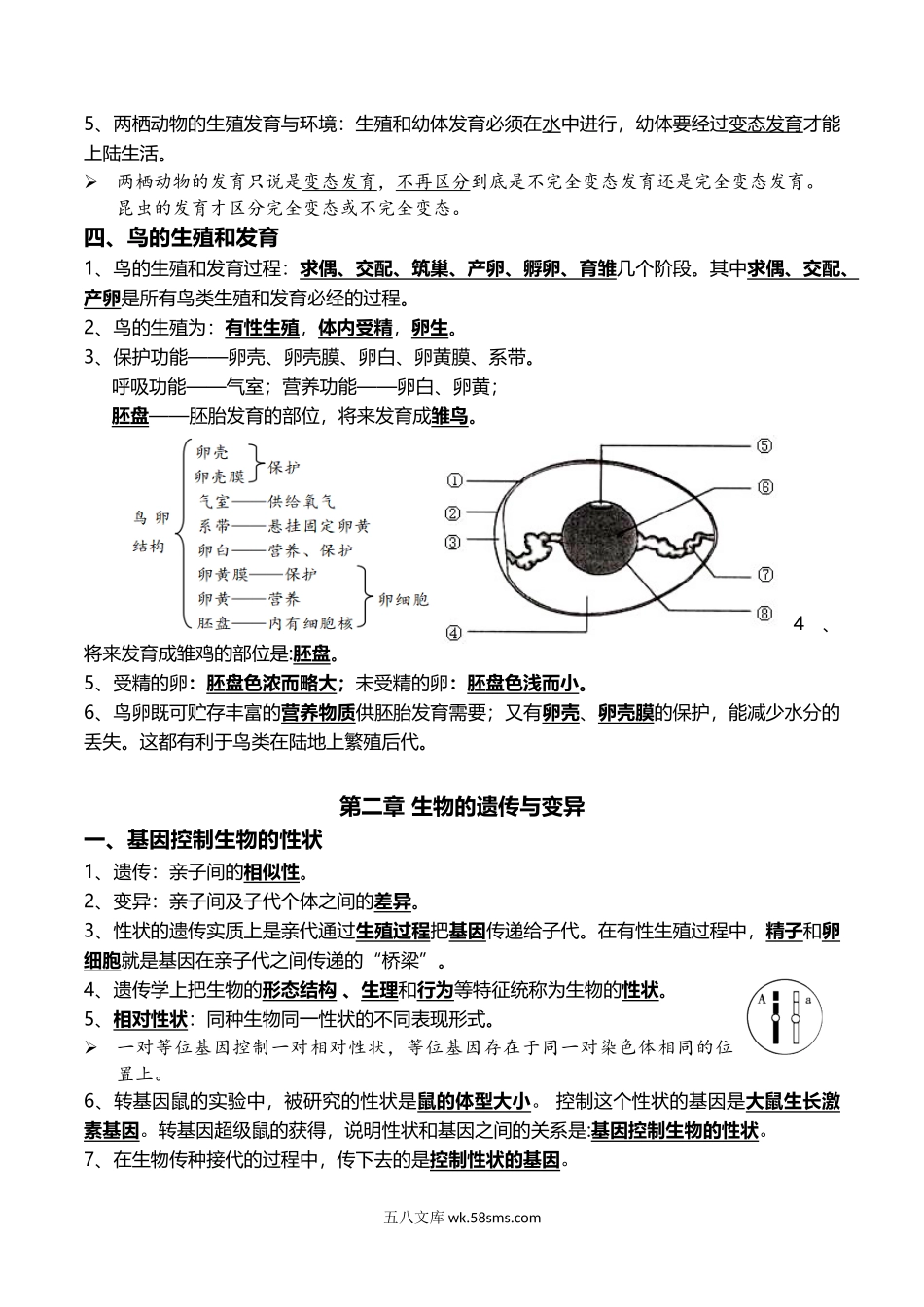 11+生物的生殖和发育+生物的遗传与变异-2022年中考生物一轮复习核心考点必背知识清单_八年级下册生物.docx_第2页