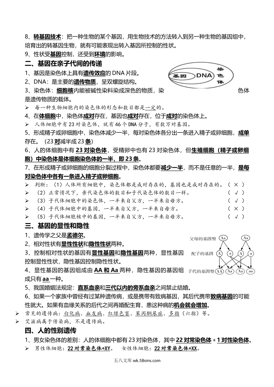 11+生物的生殖和发育+生物的遗传与变异-2022年中考生物一轮复习核心考点必背知识清单_八年级下册生物.docx_第3页