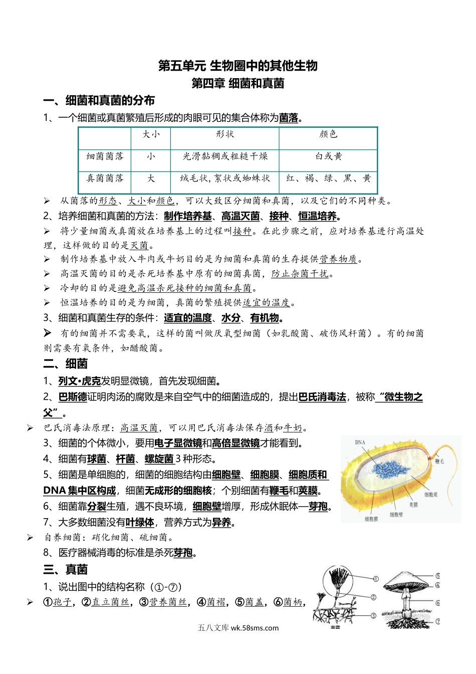 10+细菌、真菌和病毒+生物的多样性及其保护-2022年中考生物一轮复习核心考点必背知识清单_八年级下册生物.docx_第1页