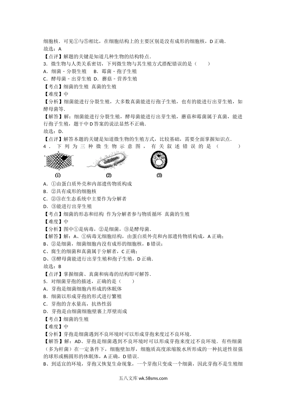 5.4细菌和真菌 卷3_八年级下册生物.docx_第2页