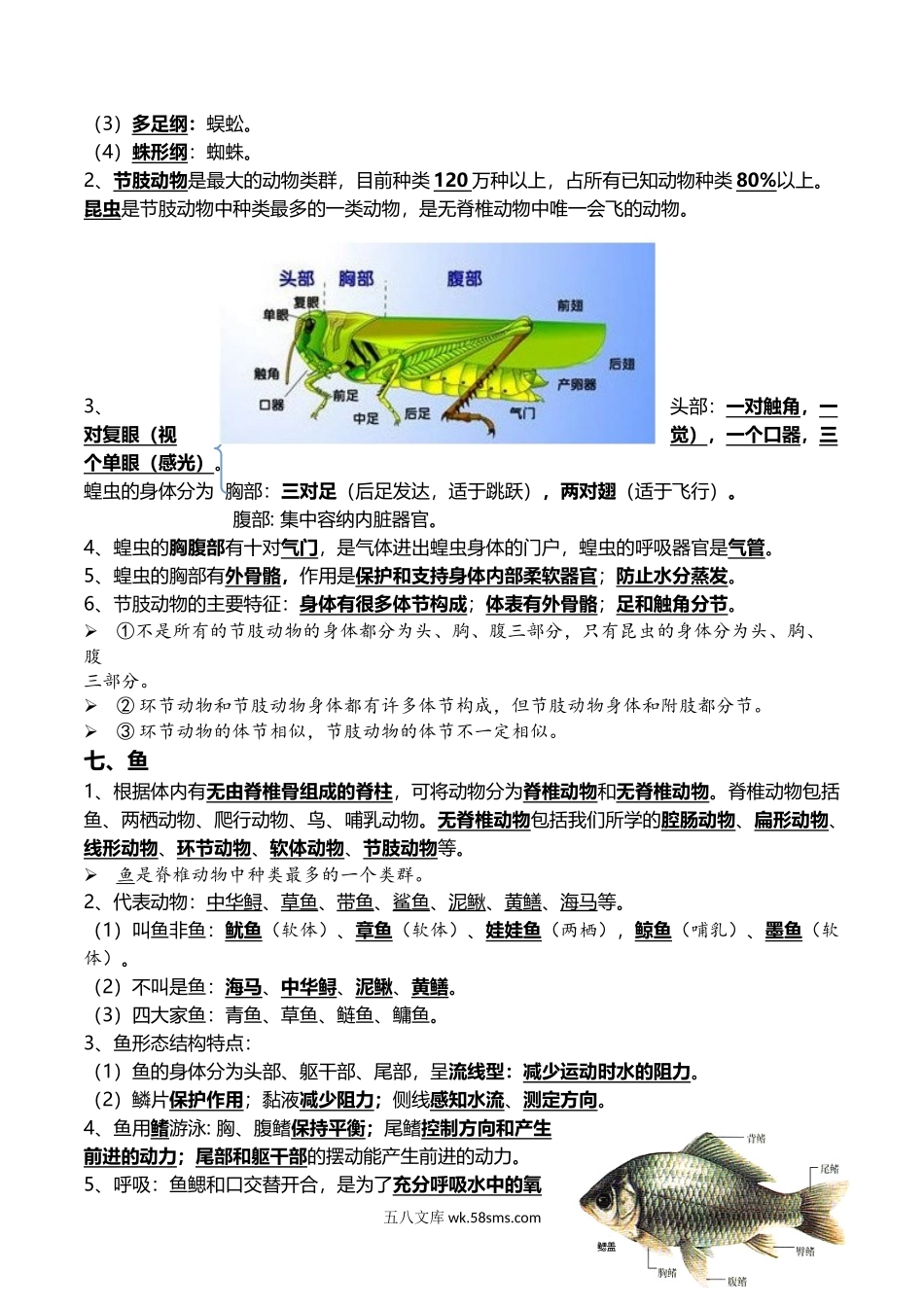 09+动物的主要类群+动物的运动和行为-2022年中考生物一轮复习核心考点必背知识清单_八年级下册生物.docx_第3页