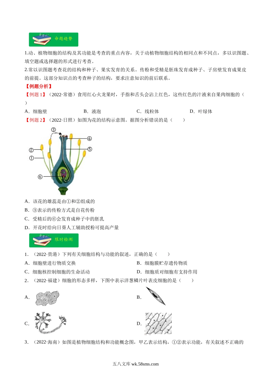 热点01 植物的细胞结构及开花和结果-2023年中考生物【热点·重点·难点】专练（全国通用）（原卷版）_八年级下册生物.docx_第2页