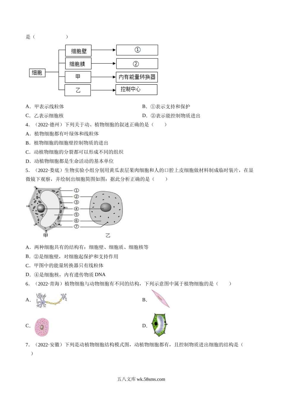 热点01 植物的细胞结构及开花和结果-2023年中考生物【热点·重点·难点】专练（全国通用）（原卷版）_八年级下册生物.docx_第3页