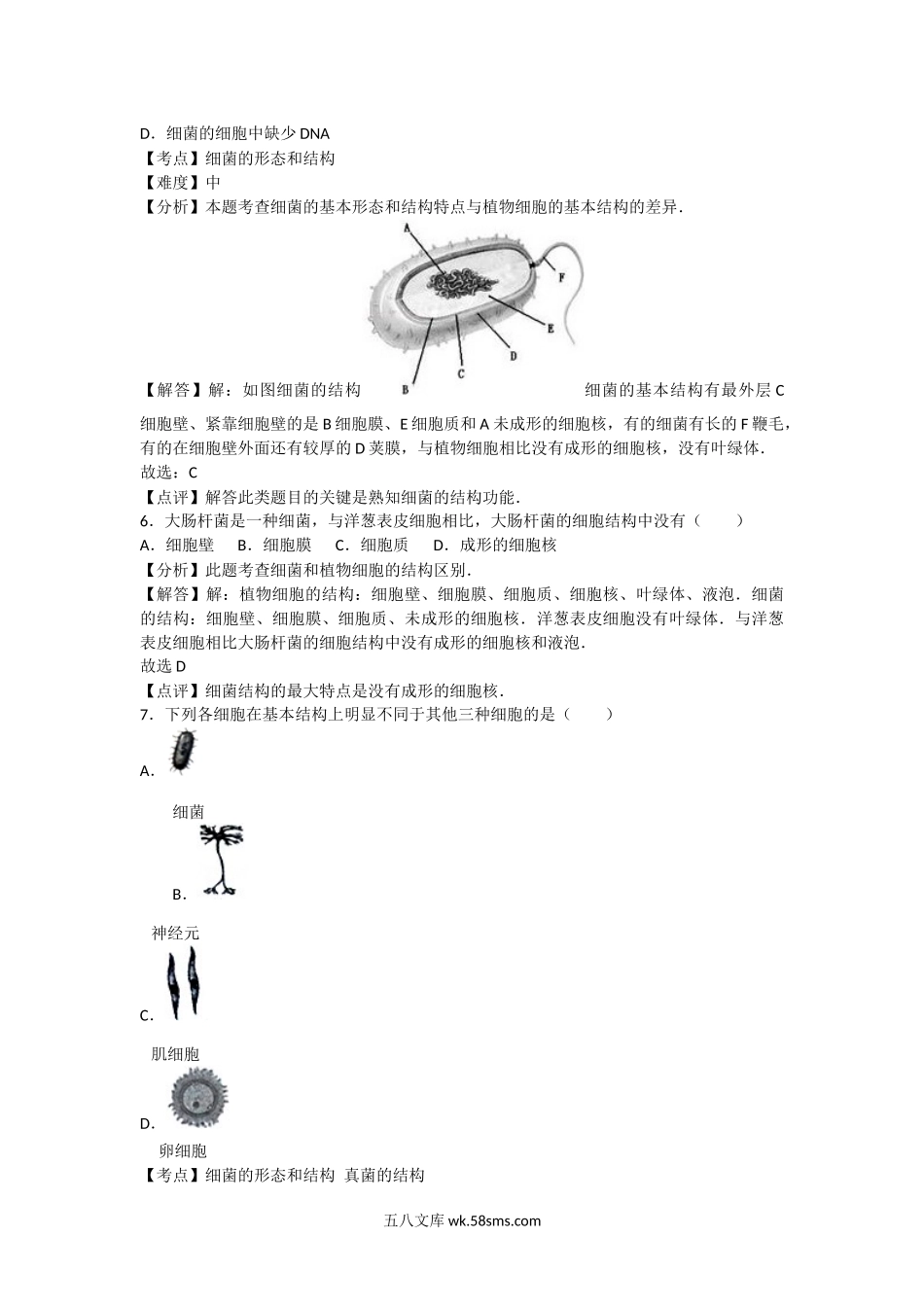 5.4细菌和真菌 卷2_八年级下册生物.docx_第3页