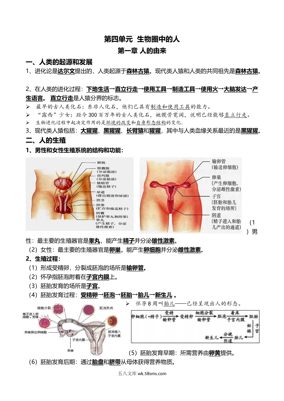 06+人的由来+人体的营养-2022年中考生物一轮复习核心考点必背知识清单_八年级下册生物.docx_第1页