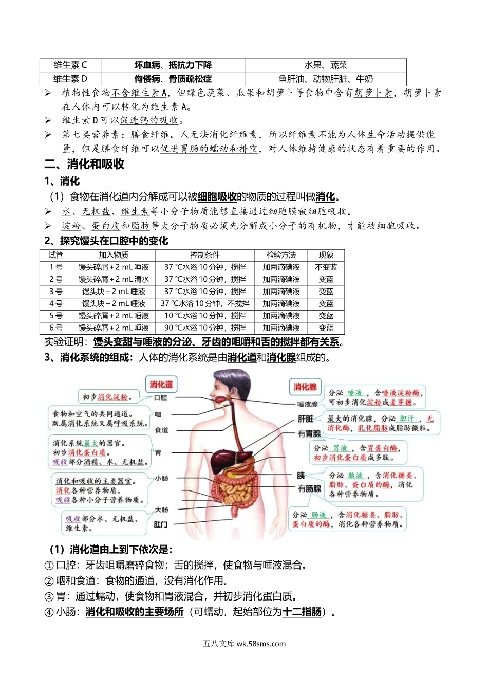 06+人的由来+人体的营养-2022年中考生物一轮复习核心考点必背知识清单_八年级下册生物.docx_第3页