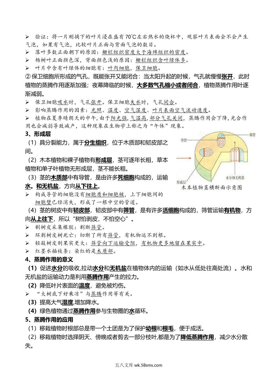 05+绿色植物的三大作用-2022年中考生物一轮复习核心考点必背知识清单_八年级下册生物.docx_第2页