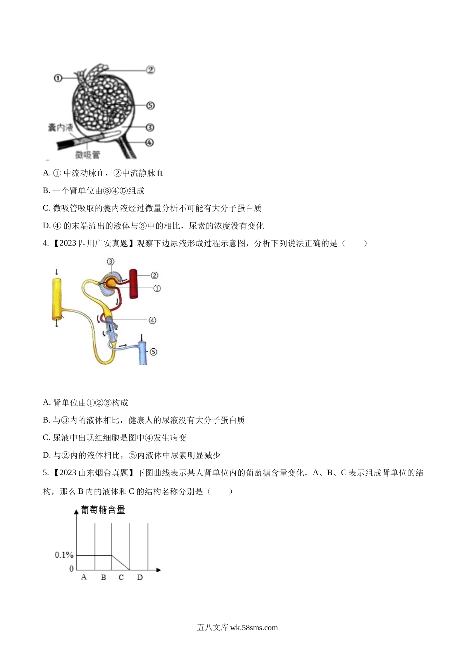 专题10  人体内废物的排出-2023年中考生物真题分项汇编（全国通用）（第1期）（原卷版）_八年级下册生物.docx_第3页