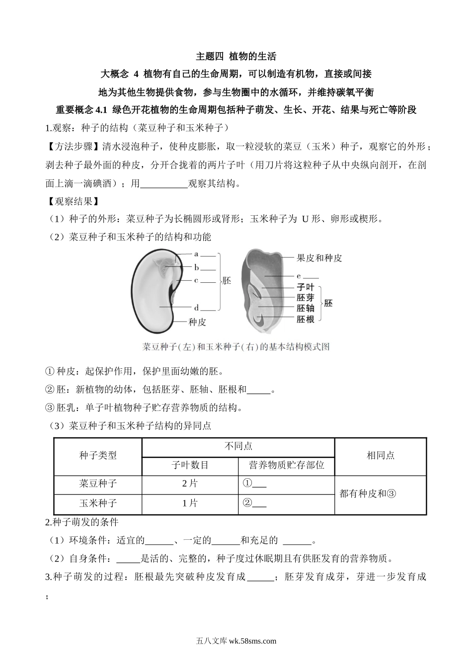 主题04 植物的生活（重要概念）_八年级下册生物.docx_第1页