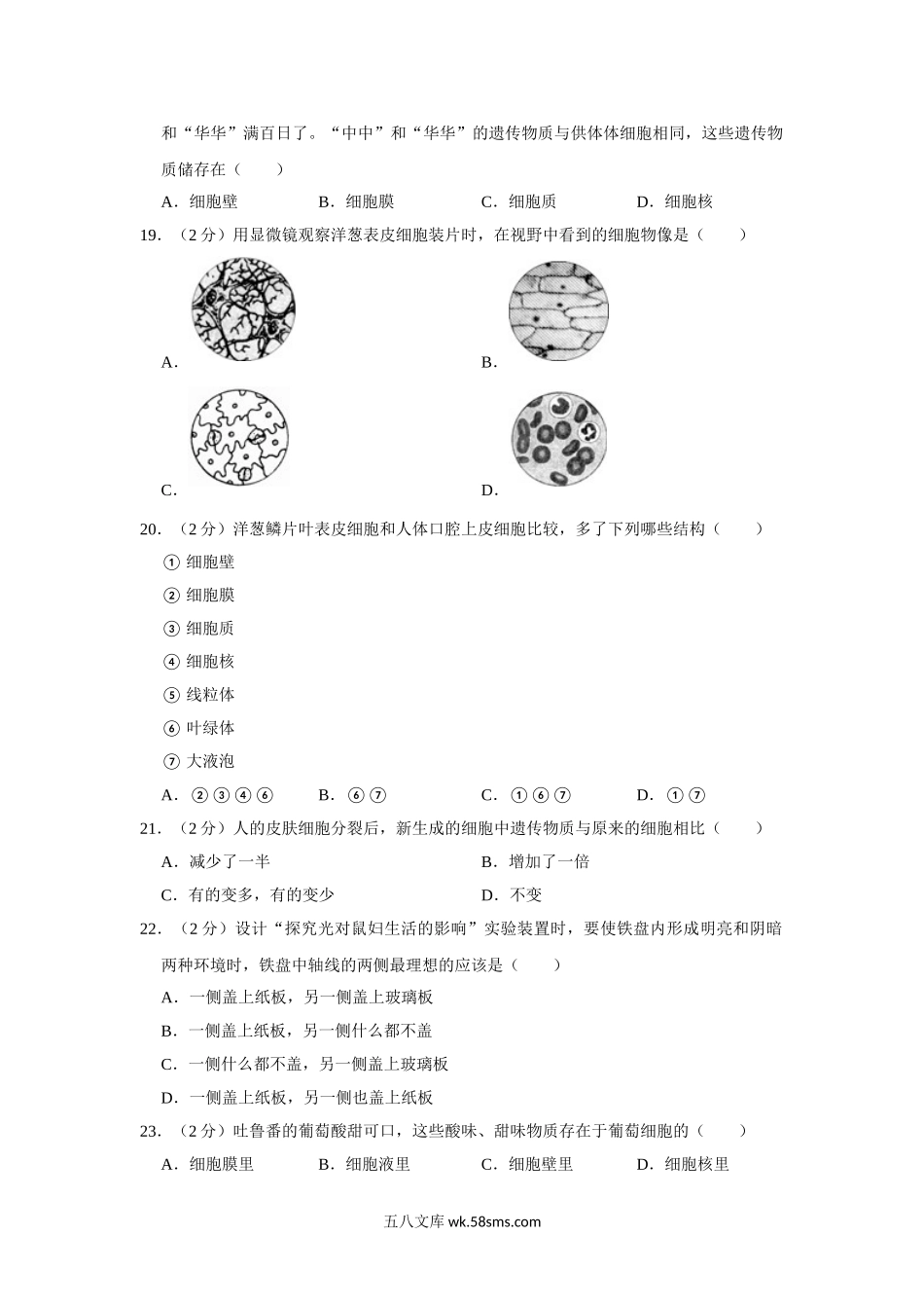 人教版七年级上册生物期中试卷  (1)_八年级下册生物.doc_第3页