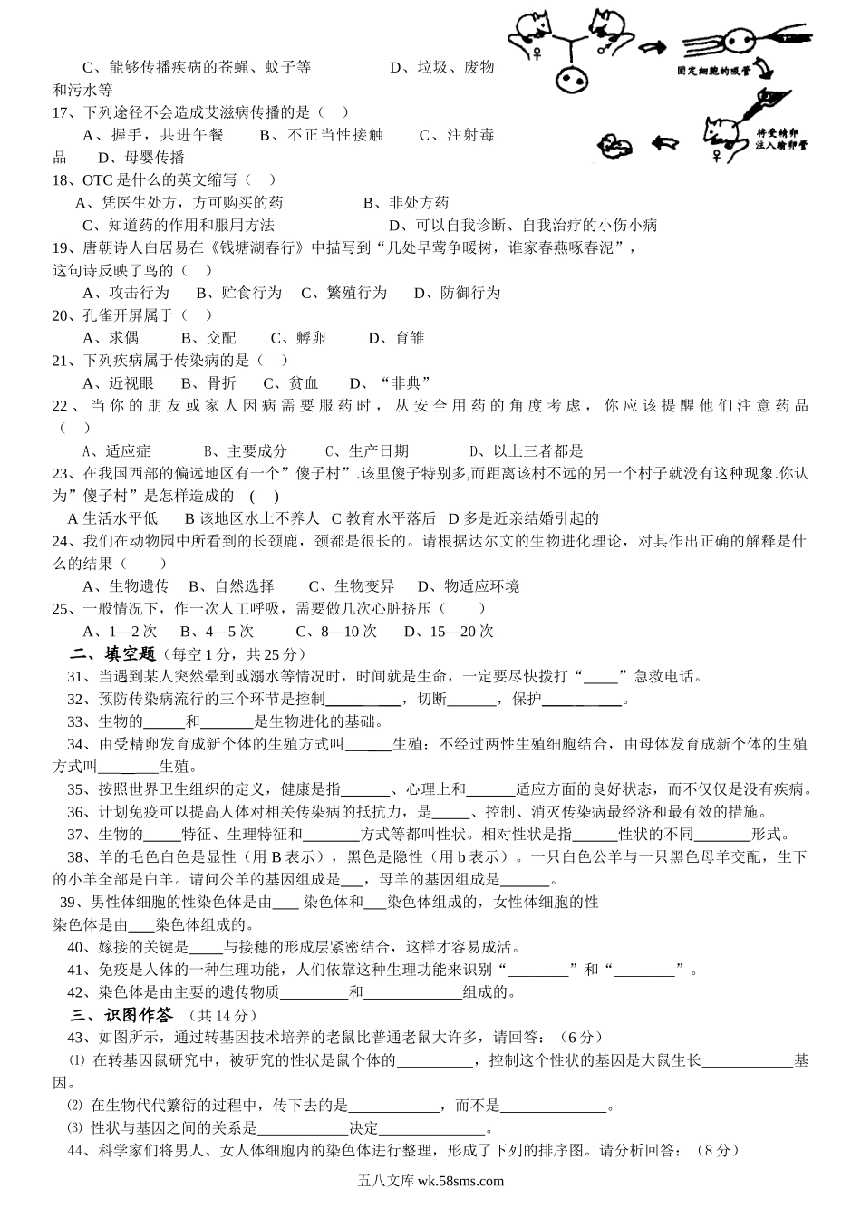 人教版八年级下册生物期中考试试卷一及答案_八年级下册生物.doc_第2页