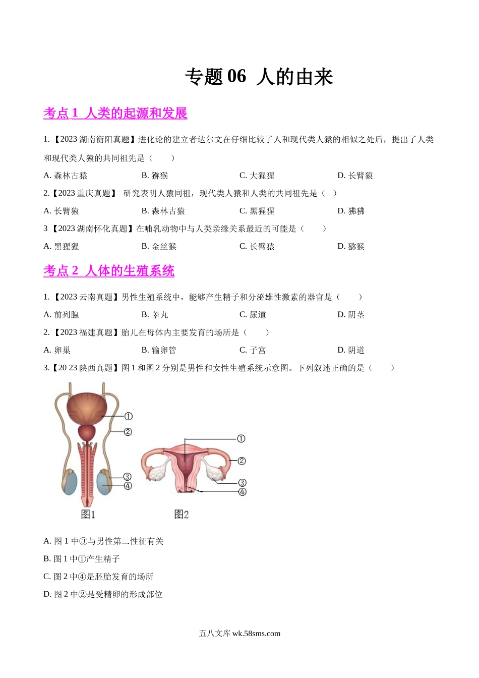 专题06  人的由来-2023年中考生物真题分项汇编（全国通用） （第1期）（原卷版）_八年级下册生物.docx_第1页