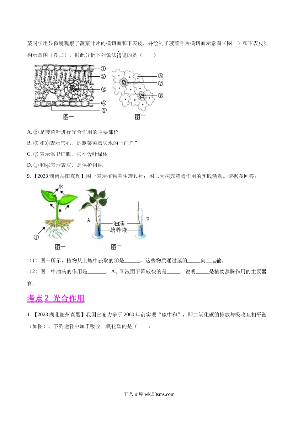 专题05  绿色植物的蒸腾作用、光合作用和呼吸作用-2023年中考生物真题分项汇编（全国通用） （第1期）（原卷版）_八年级下册生物.docx_第3页