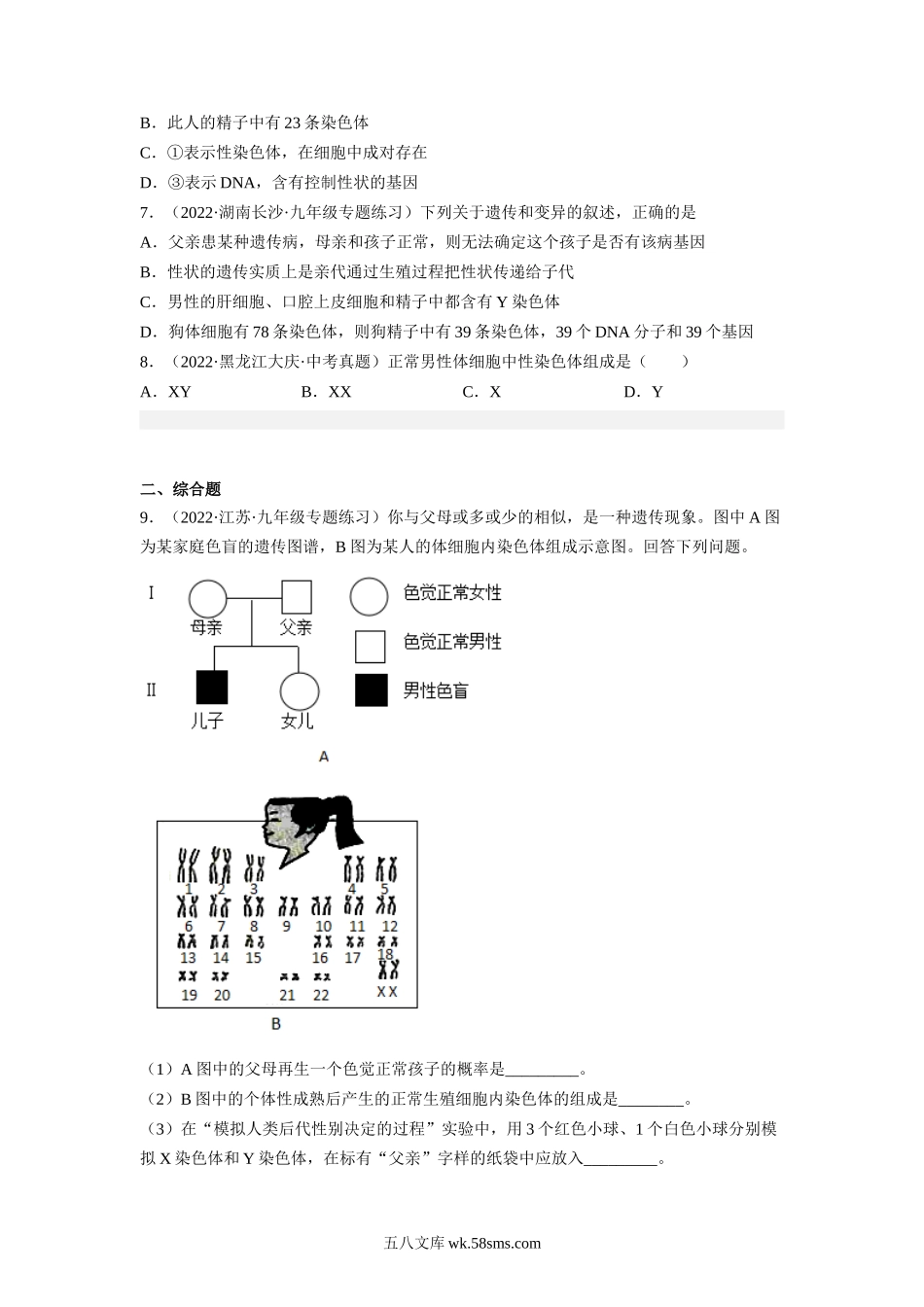 7.2.4 人的性别遗传-2022-2023学年八年级生物下学期课后培优分级练（人教版）（原卷版）_八年级下册生物.docx_第3页