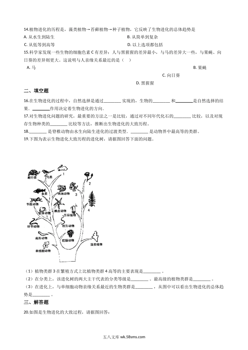 苏科版八年级下册生物-23.2生物进化的历程-练习题_八年级下册生物.docx_第3页