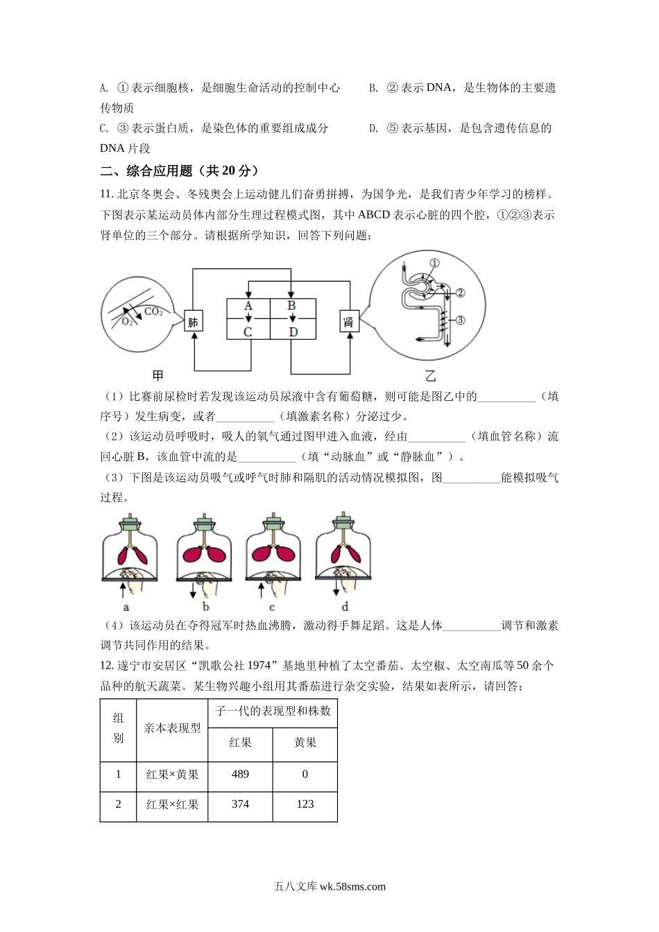 精品解析：2022年四川省遂宁市中考生物真题（原卷版）_八年级下册生物.docx_第3页