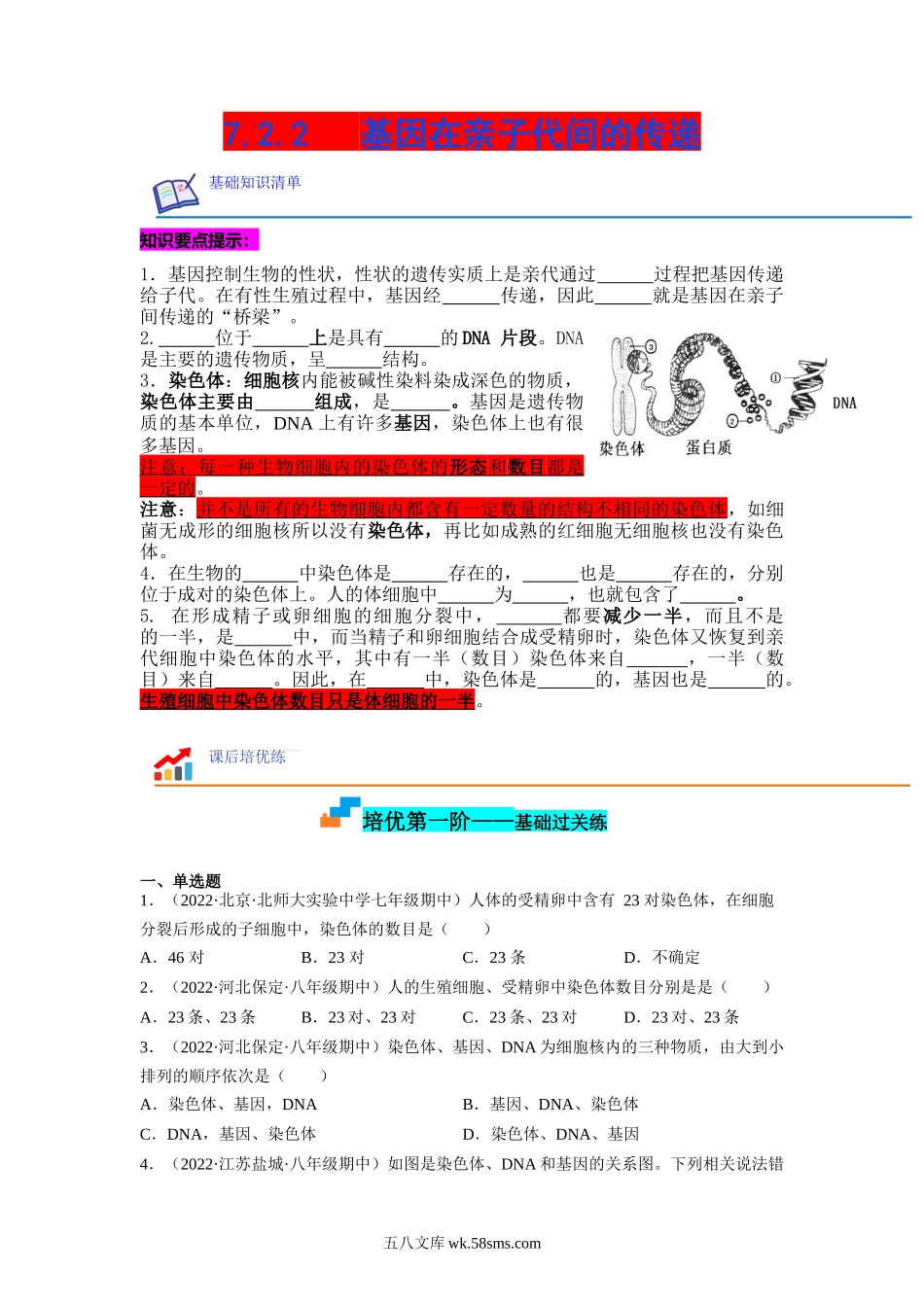 7.2.2 基因在亲子代间的传递-2022-2023学年八年级生物下学期课后培优分级练（人教版）（原卷版）_八年级下册生物.docx_第1页